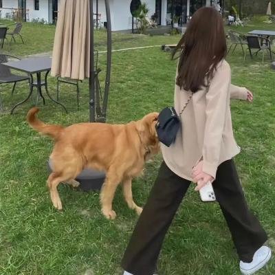春晖 海报