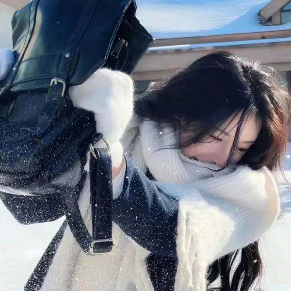 天衣行动 海报